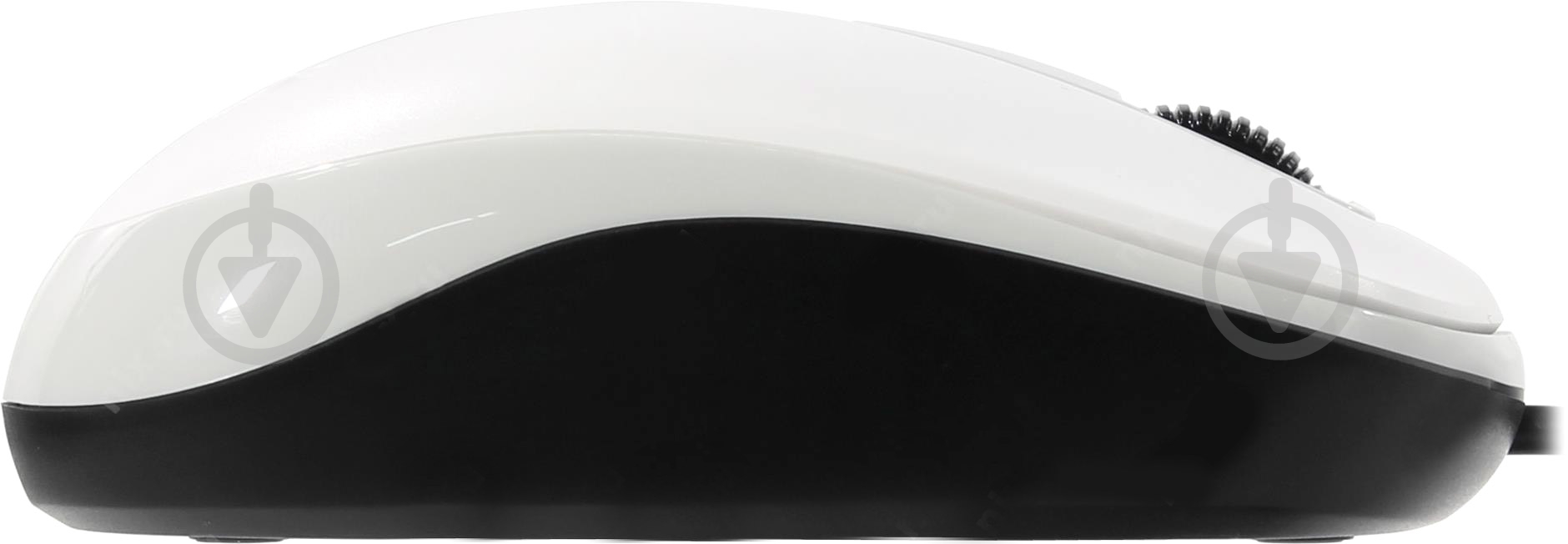 Мышь Genius DX-125 USB (31010106102) white - фото 4