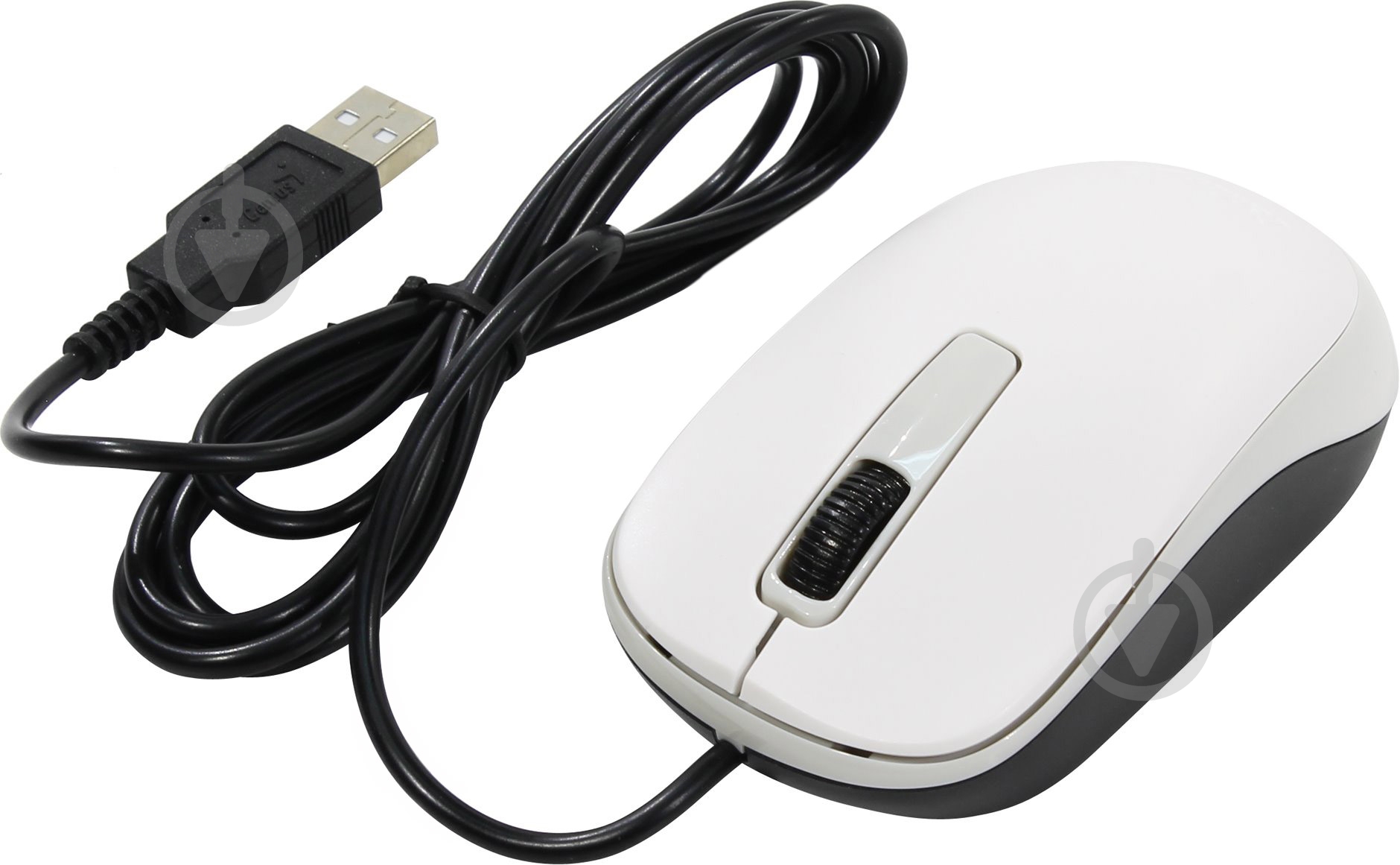 Мышь Genius DX-125 USB (31010106102) white - фото 3
