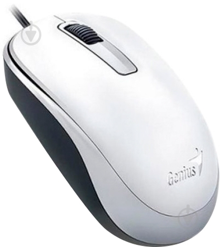 Мышь Genius DX-125 USB (31010106102) white - фото 2