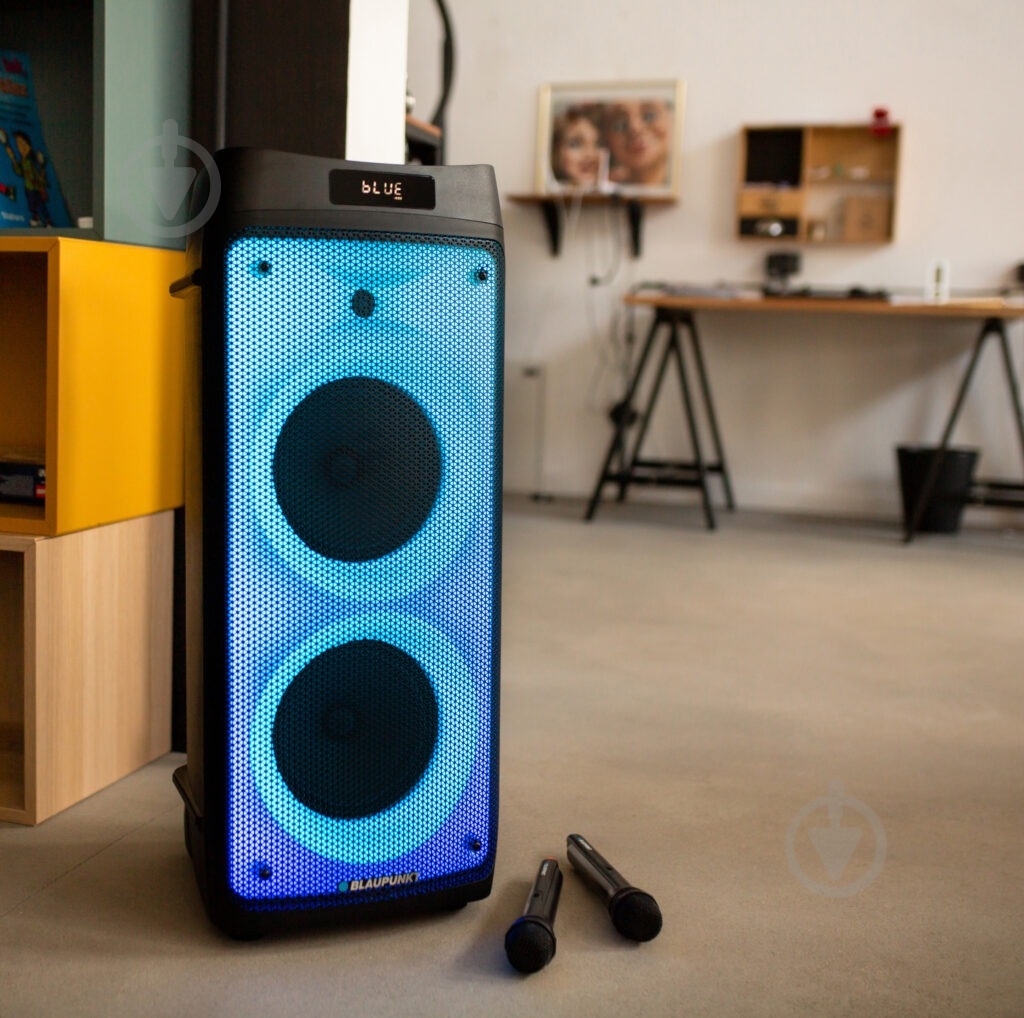 Акустическая система Blaupunkt PB08DB - фото 3