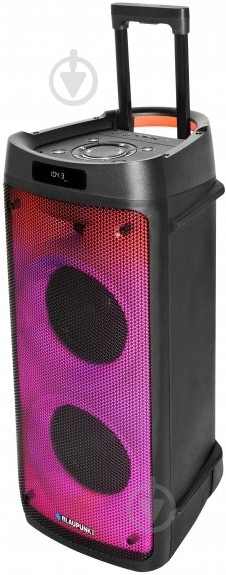 Акустическая система Blaupunkt PB08DB - фото 2