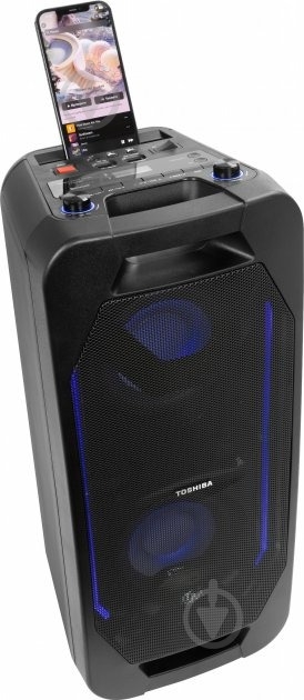 Акустическая система TOSHIBA TY-ASC66 - фото 5