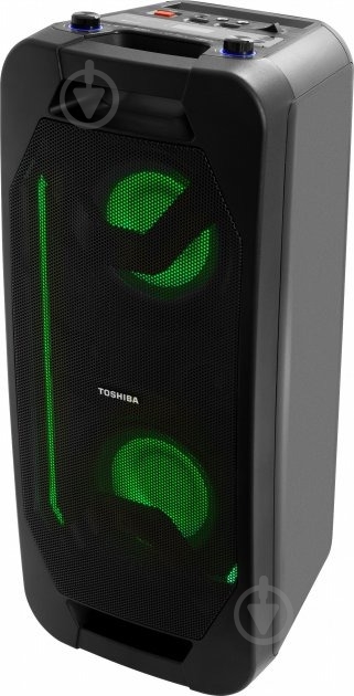 Акустическая система TOSHIBA TY-ASC66 - фото 2