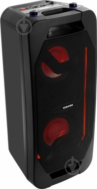 Акустическая система TOSHIBA TY-ASC66 - фото 1