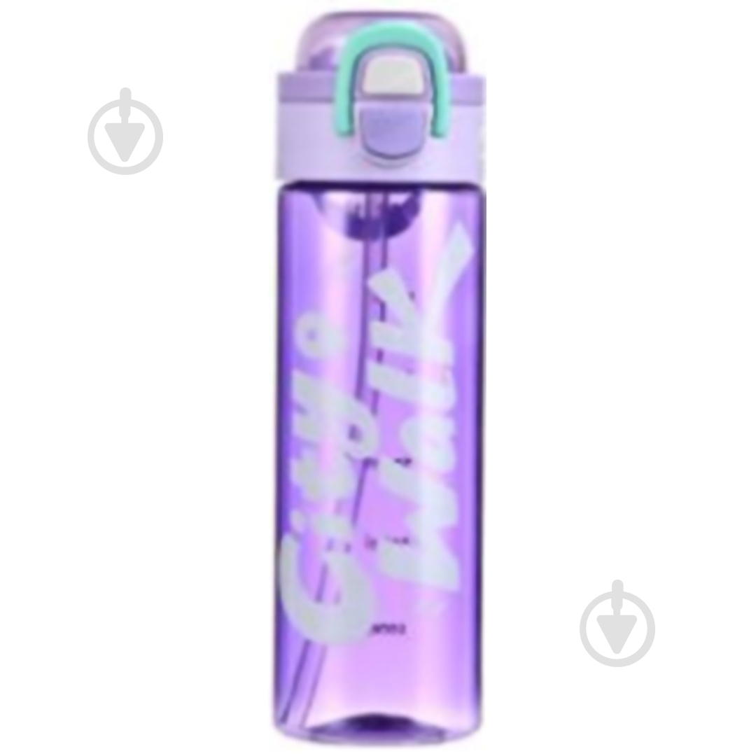 Бутылка для воды ARDESTO City Walk 680 мл фиолетовый AR2268CP - фото 1