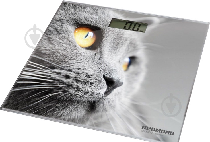 Весы напольные Redmond RS-735 - фото 2