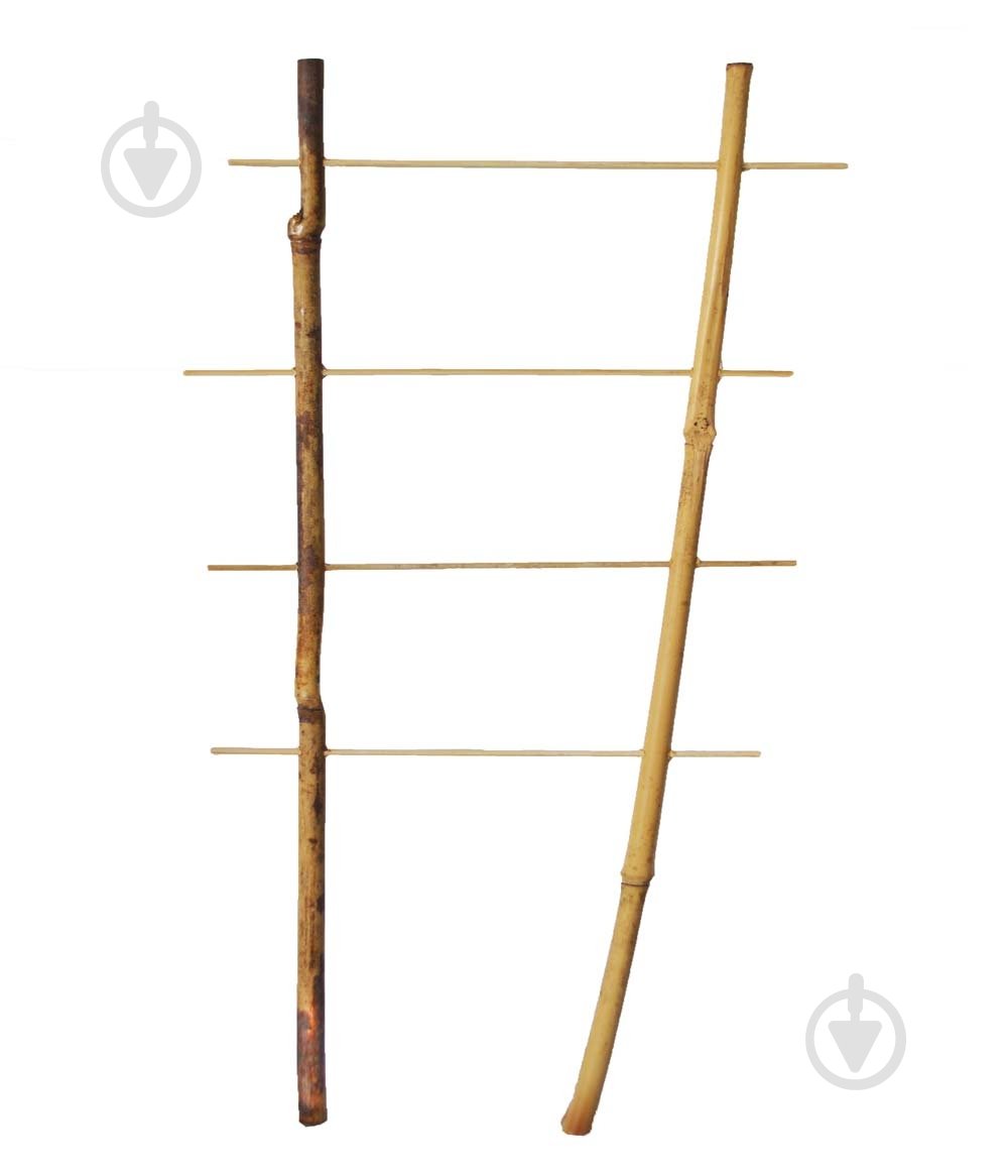 Бамбуковая поддержка Elsa Лестница 120 см - фото 1 Бамбуковая поддержка Elsa Лестница 120 см - фото 1