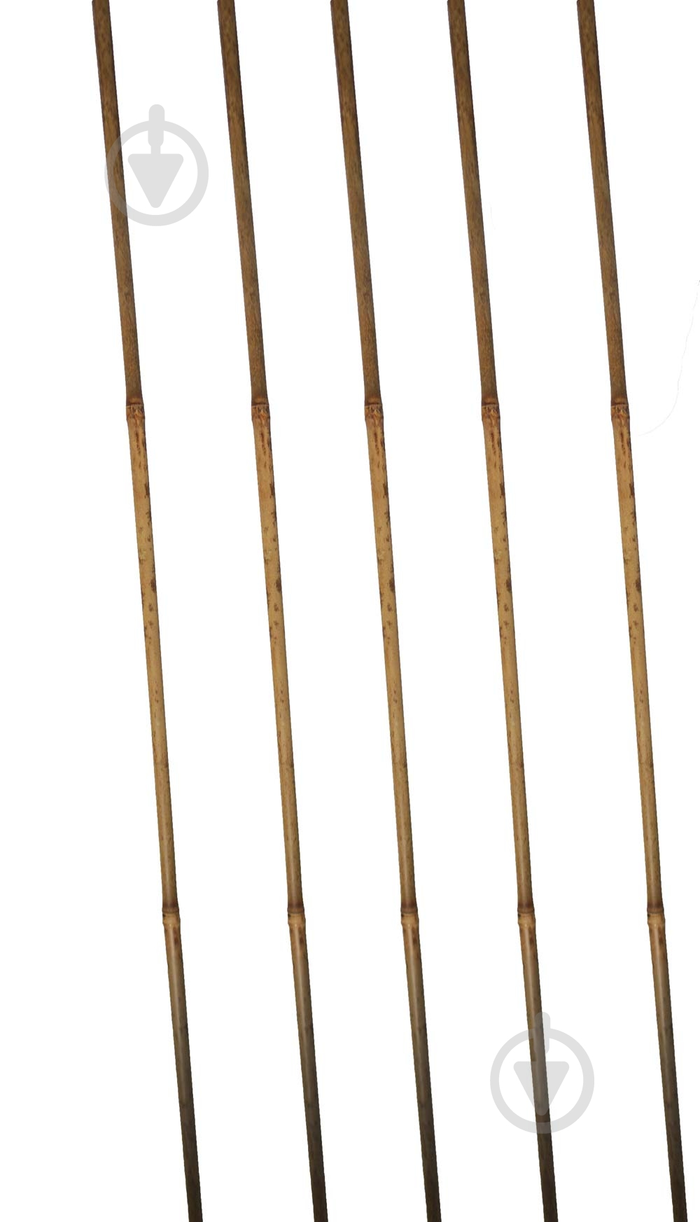 Бамбуковая поддержка Elsa 75 см - фото 1