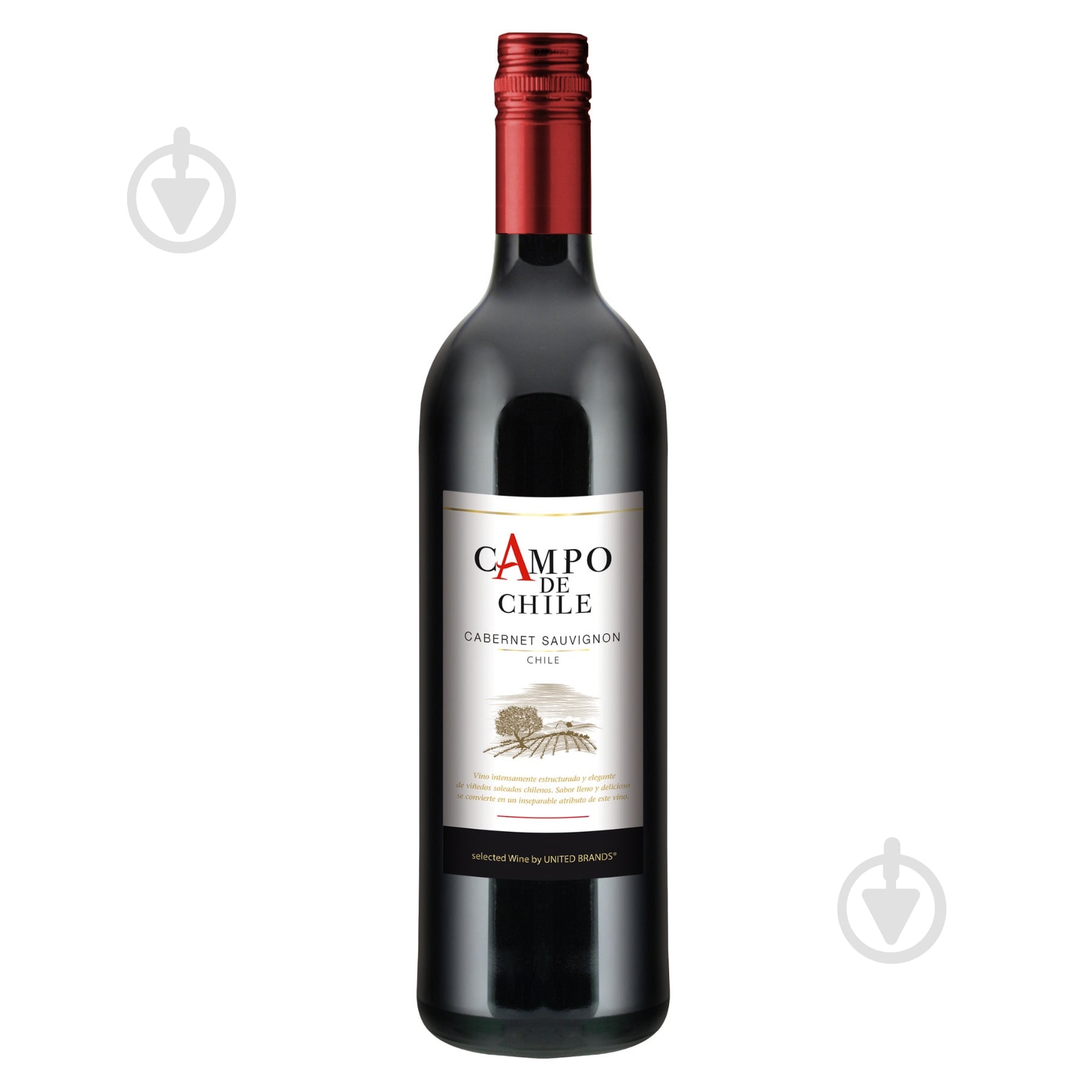 Вино Campo de Chile красное сухое Cabernet Sauvignon 750 мл - фото 1 Вино Campo de Chile красное сухое Cabernet Sauvignon 750 мл - фото 1