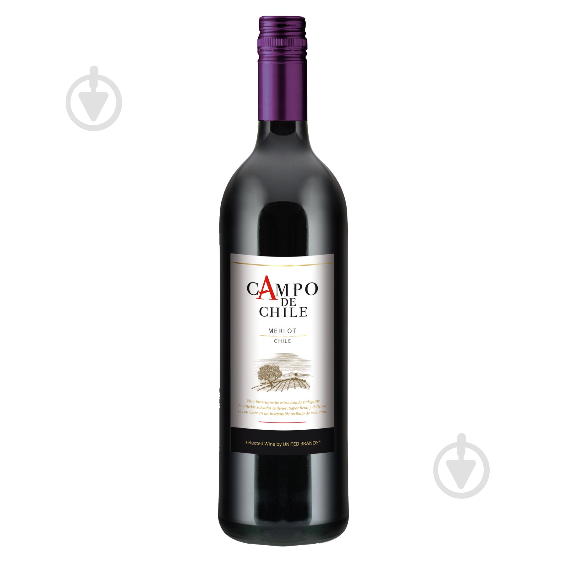 Вино Campo de Chile червоне сухе Merlot 750 мл - фото 1 Вино Campo de Chile червоне сухе Merlot 750 мл - фото 1