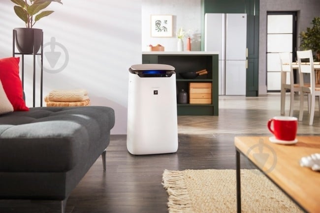 Очиститель воздуха Sharp FPJ80EUW - фото 5