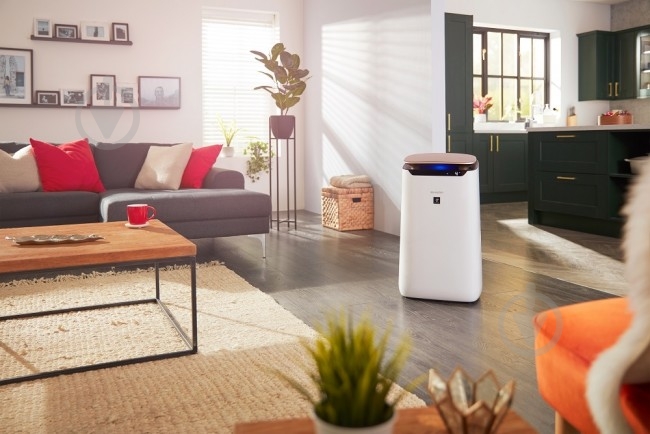 Очиститель воздуха Sharp FPJ80EUW - фото 7