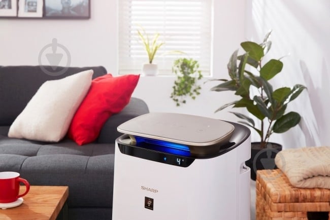 Очиститель воздуха Sharp FPJ80EUW - фото 8