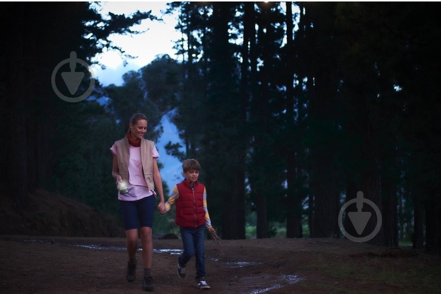 Ліхтар RYOBI ONE+ світлодіодний (без АКБ і ЗП) R18T-0 - фото 8 Ліхтар RYOBI ONE+ світлодіодний (без АКБ і ЗП) R18T-0 - фото 8