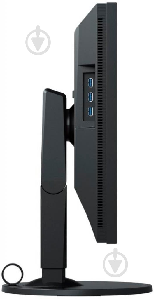 Монитор Eizo ColorEdge 24,1" (CS2410-BK) - фото 5