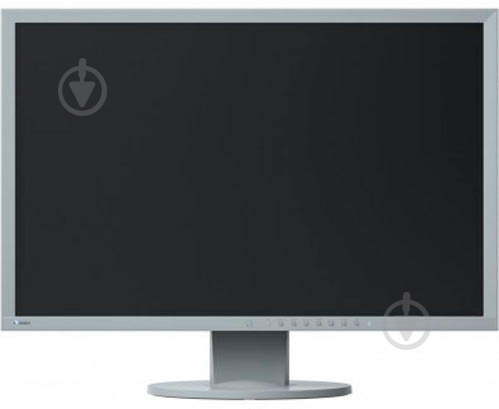 Монитор Eizo FlexScan 24,1" (EV2430-GY) - фото 1
