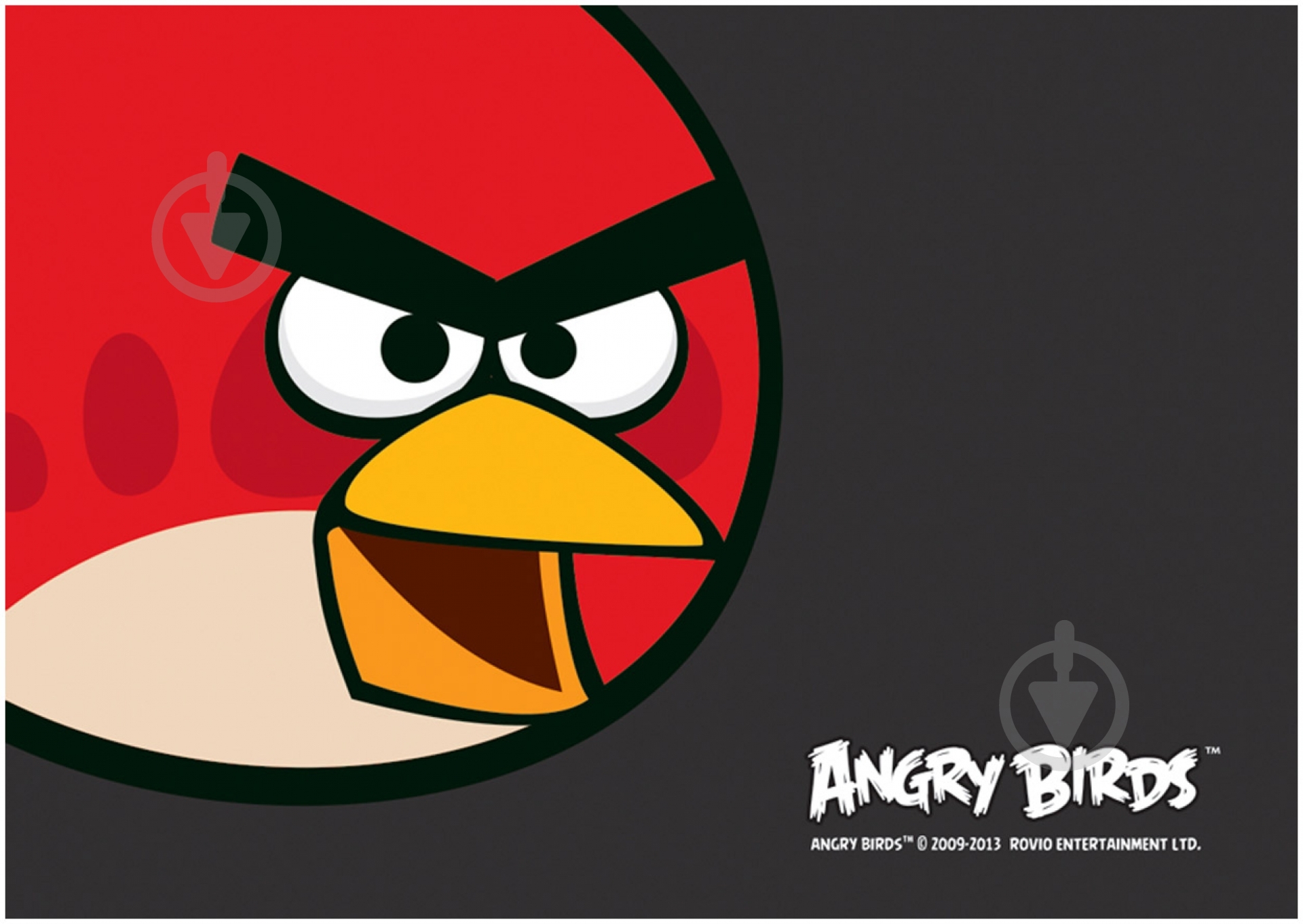 Килимок для дитячої творчості Angry Birds - фото 1
