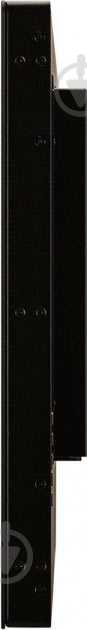 Монитор Iiyama ProLite 31,5" (TF3222MC-B2) - фото 6