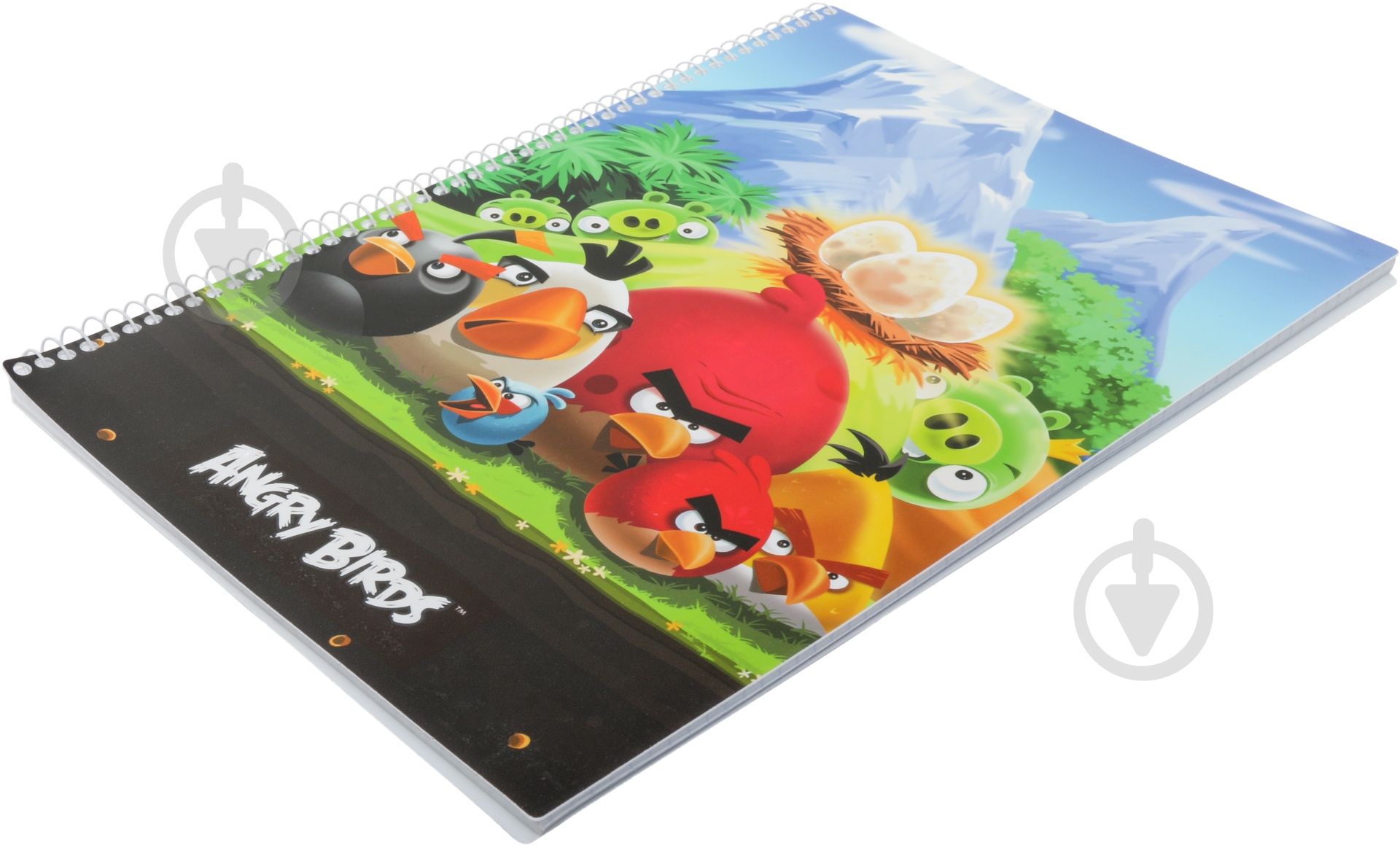 Блокнот  Angry Birds А4 80 л AB03277 Cool For School - фото 2