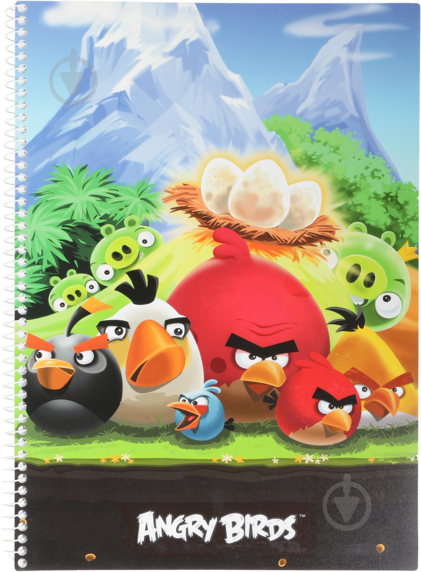 Блокнот  Angry Birds А4 80 л AB03277 Cool For School - фото 1
