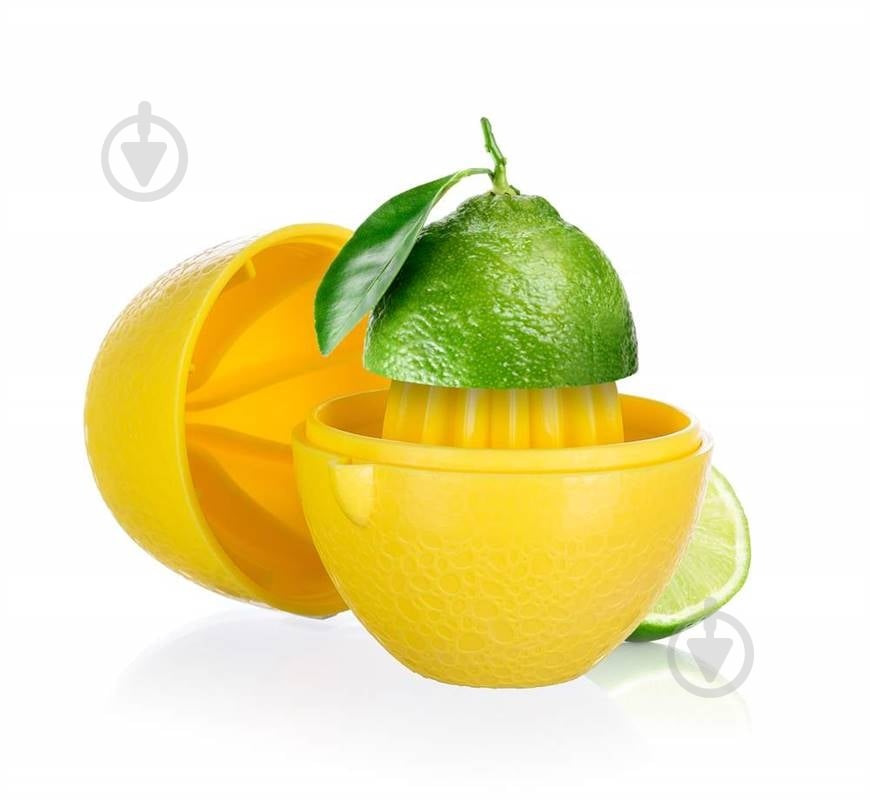 Пресс для цитрусовых Banquet Accasa - фото 2