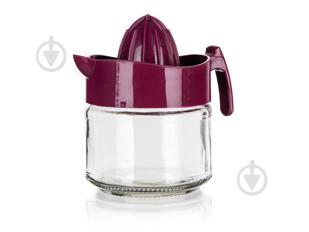 Соковыжималка Banquet Dara 300 мл - фото 2