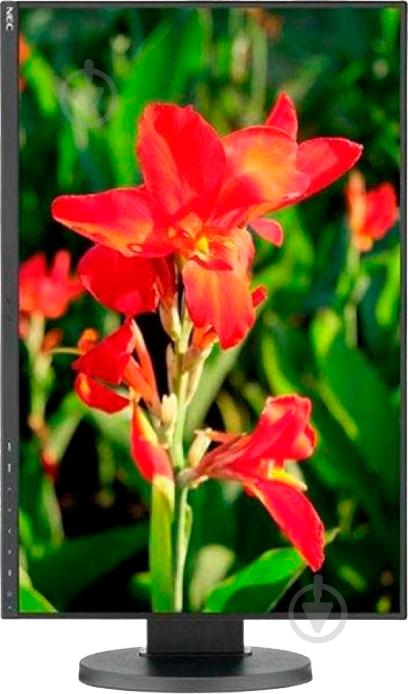 Монитор NEC EA241WU 24" (60004676) - фото 5
