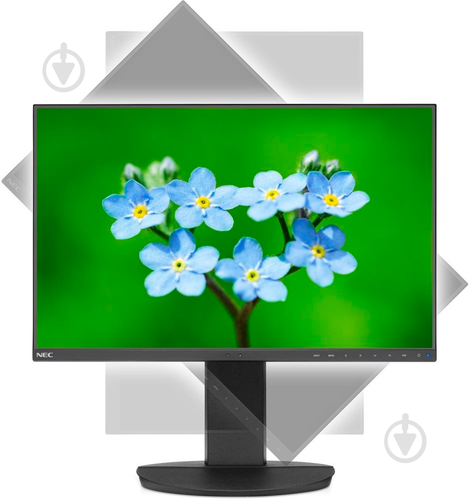 Монитор NEC EA241F 24" (60004786) - фото 4