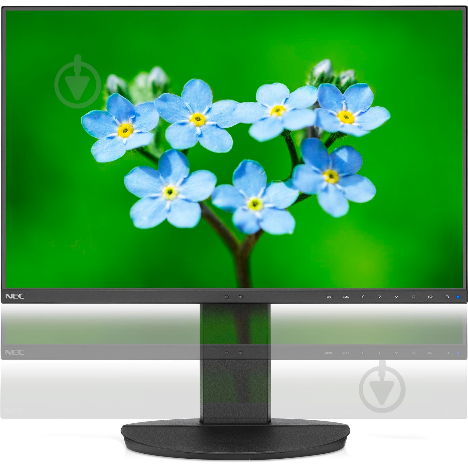 Монитор NEC EA241F 24" (60004786) - фото 5