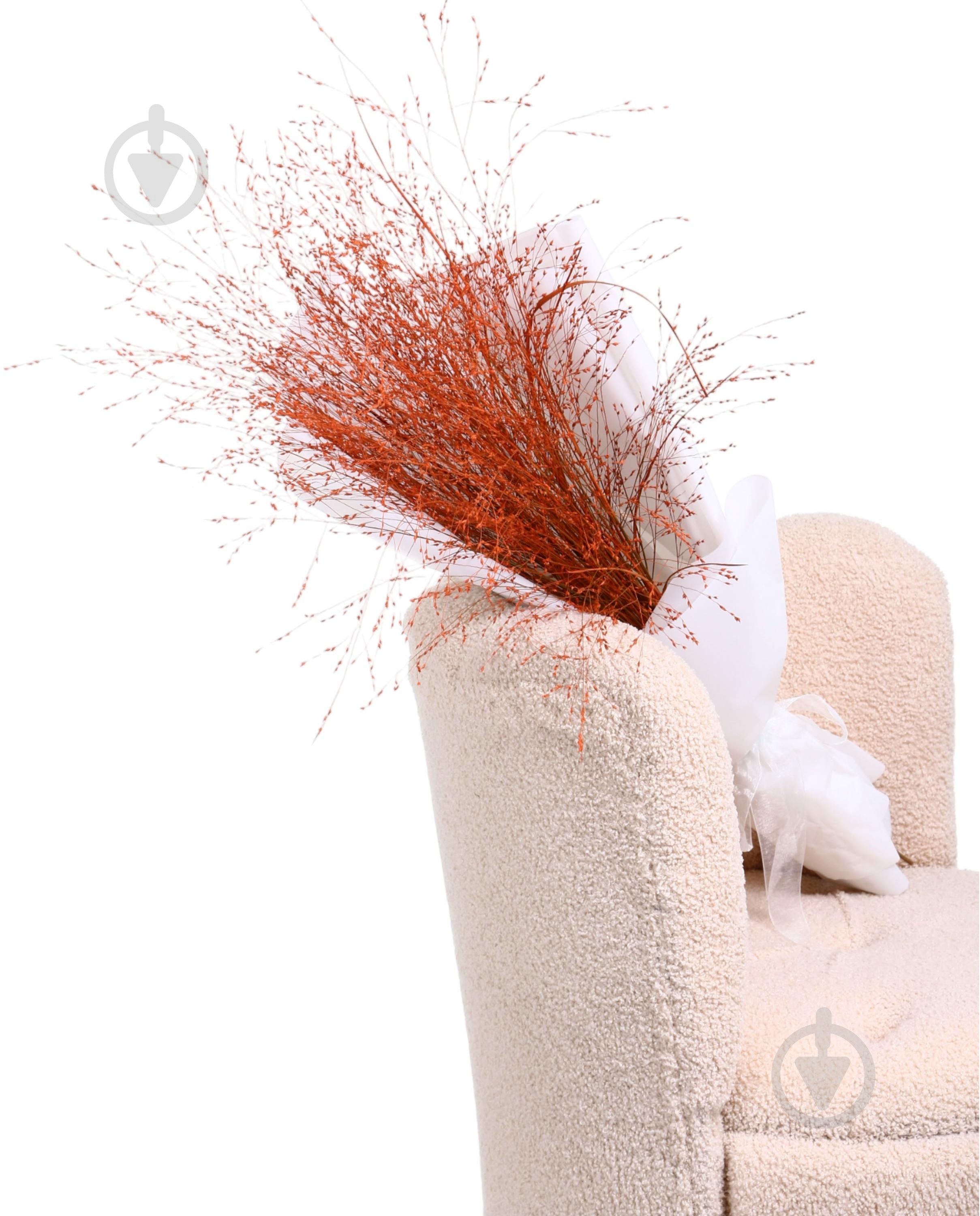 Паникум желтый/оранжевый (Нидерланды) - фото 1