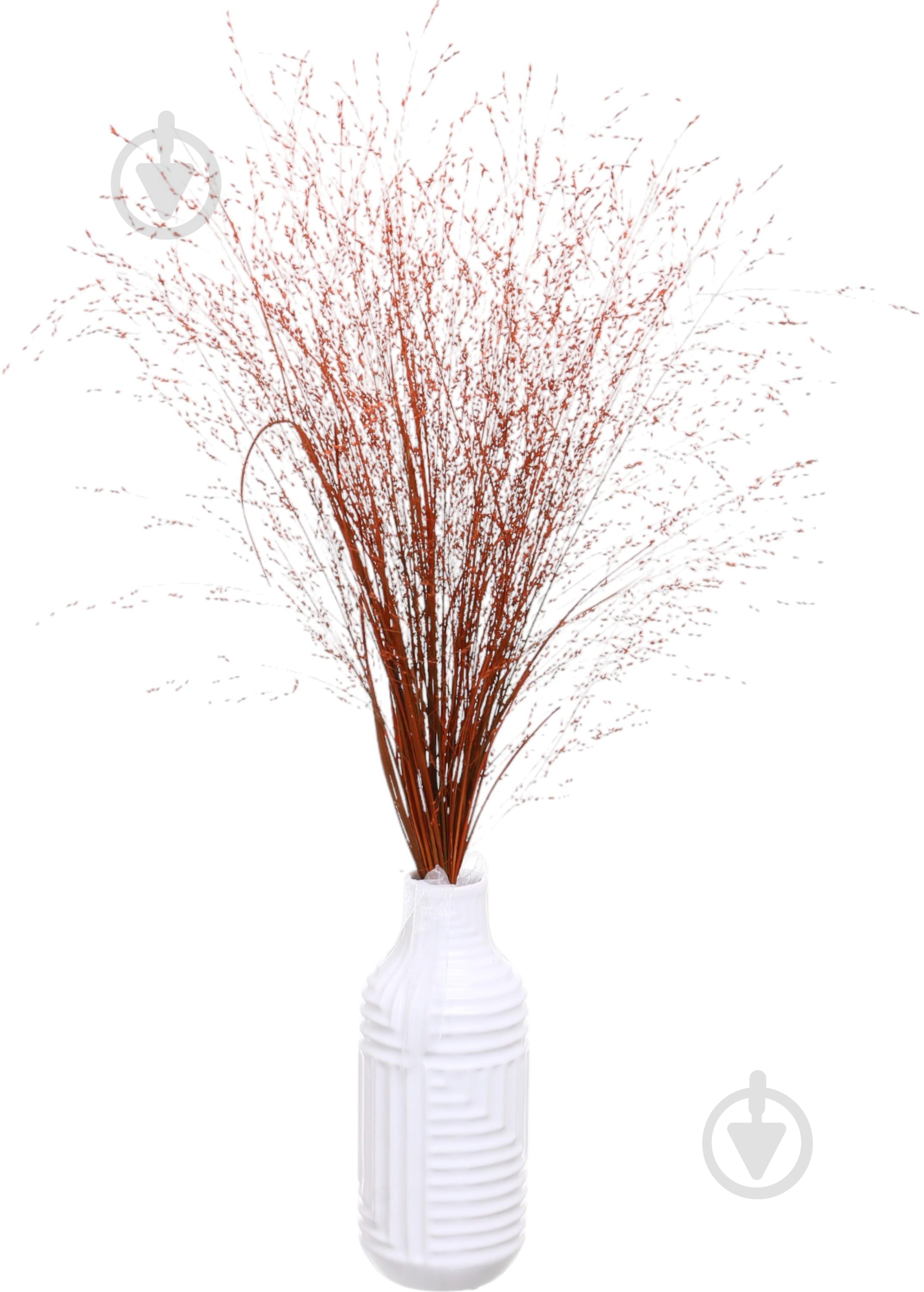 Паникум желтый/оранжевый (Нидерланды) - фото 3