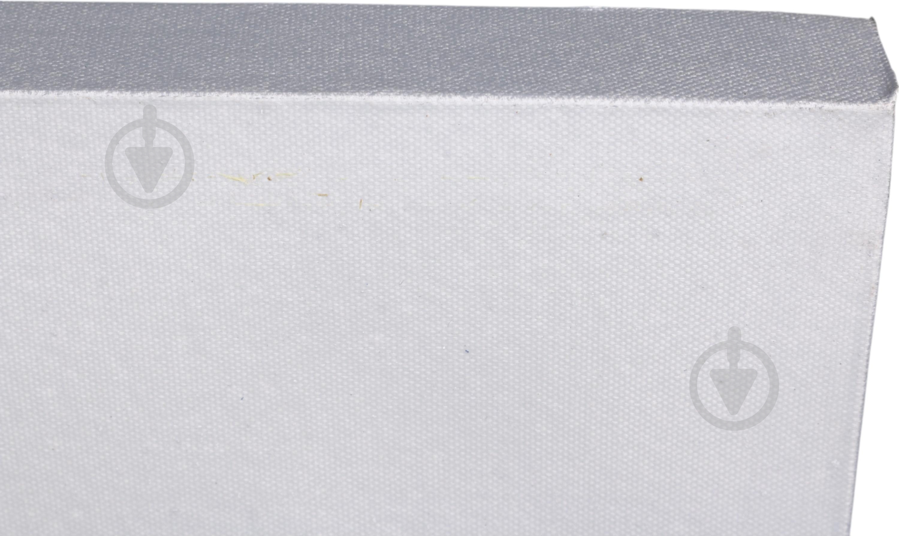 Картина Silver feather second 50x100 см - фото 4