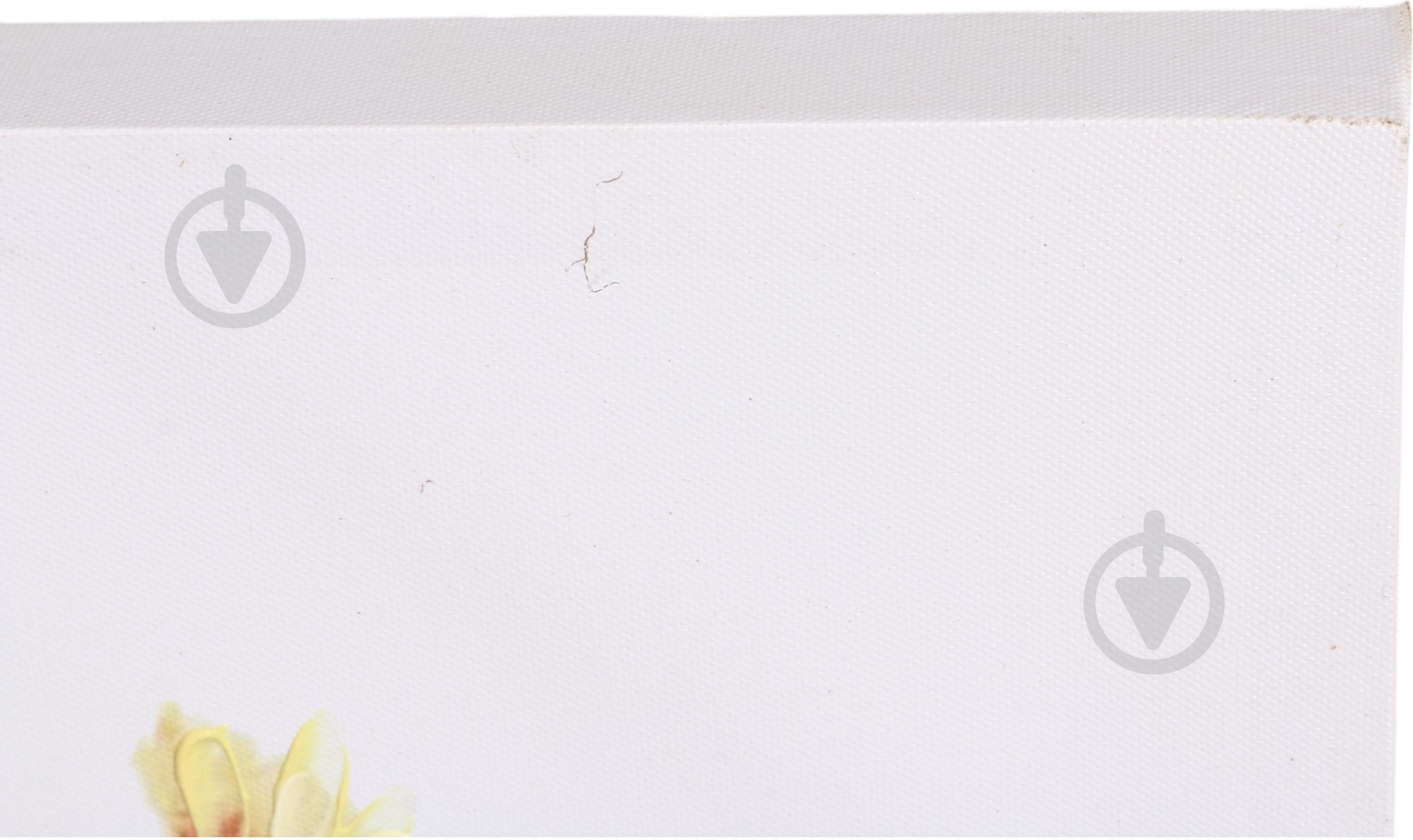 Картина Jar Flower sunny 60x60 см - фото 4