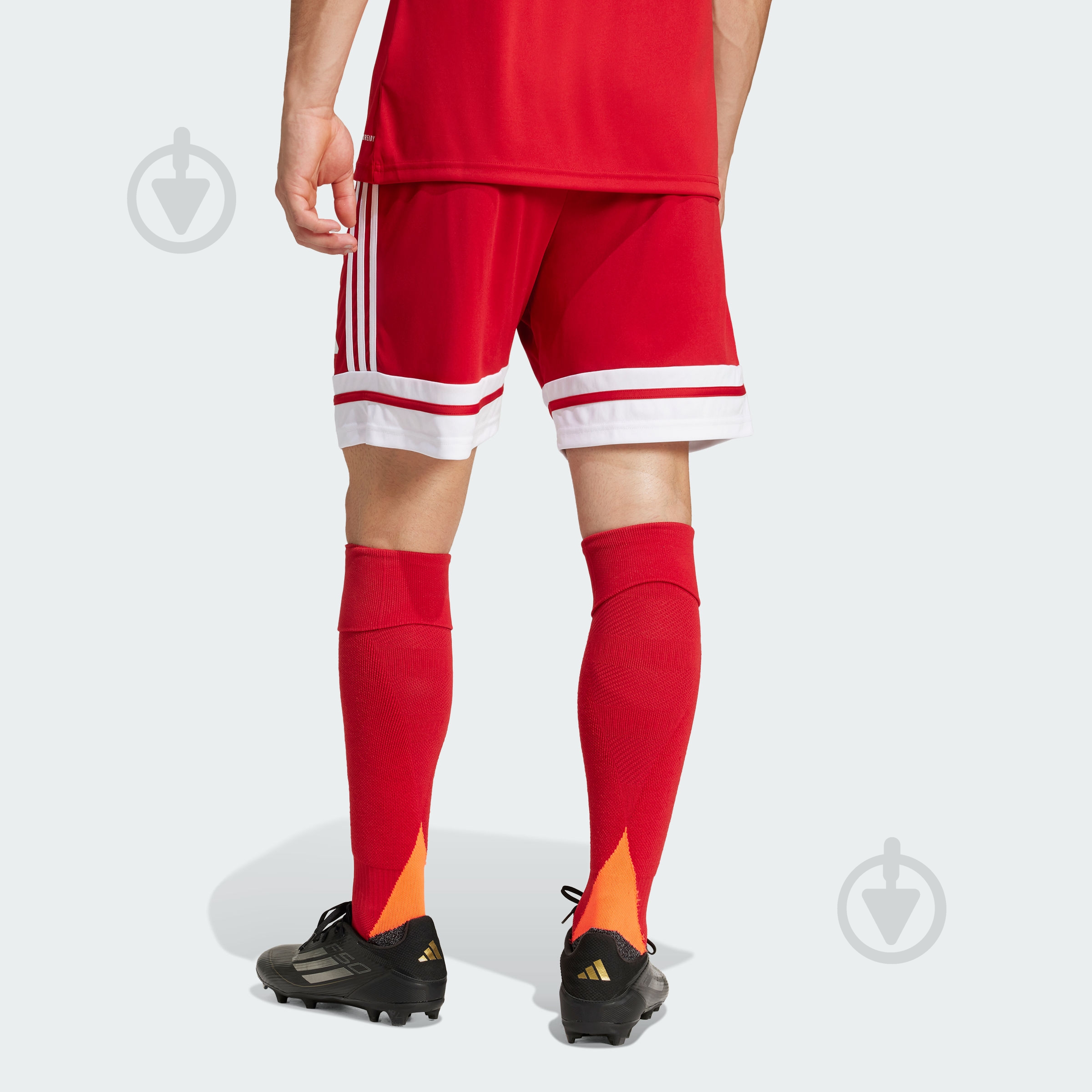 Шорти Adidas SQUA25 SHO M JE7745 р. M червоний - фото 2 Шорти Adidas SQUA25 SHO M JE7745 р. M червоний - фото 2