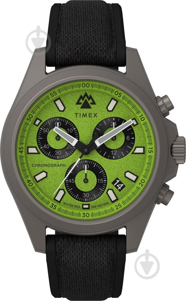 Наручные часы Expedition Timex grey (Tx2v96400) - фото 1