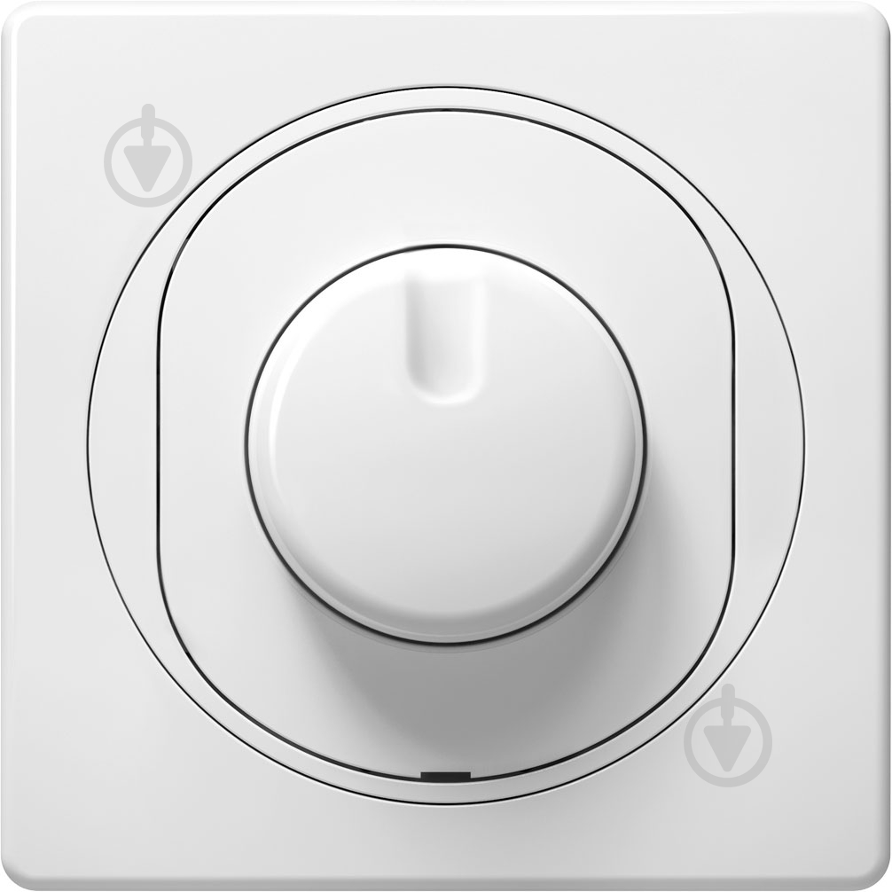 Светорегулятор Aling-Conel Eon 200 Вт 20 IP белый E6175.0 - фото 1