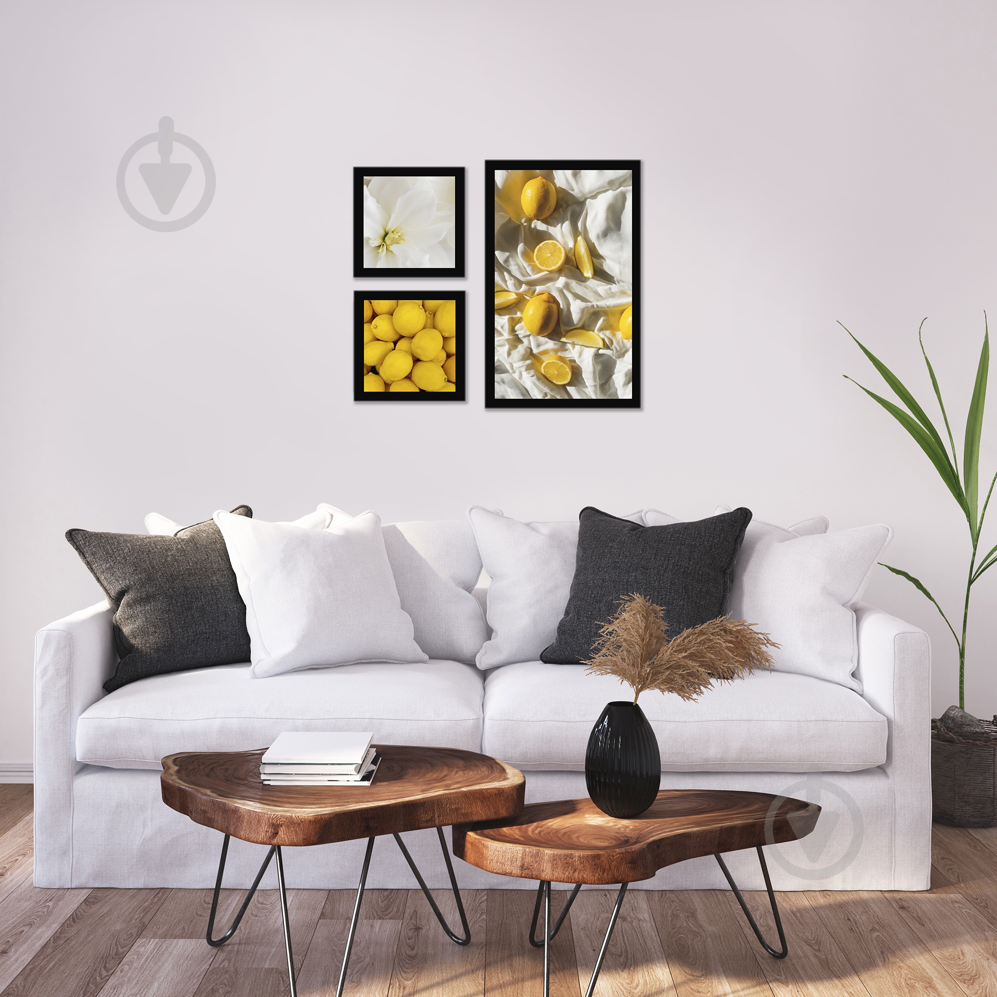 Постер Сочные лимоны 3 шт. WS Holst 2-808228S - фото 3