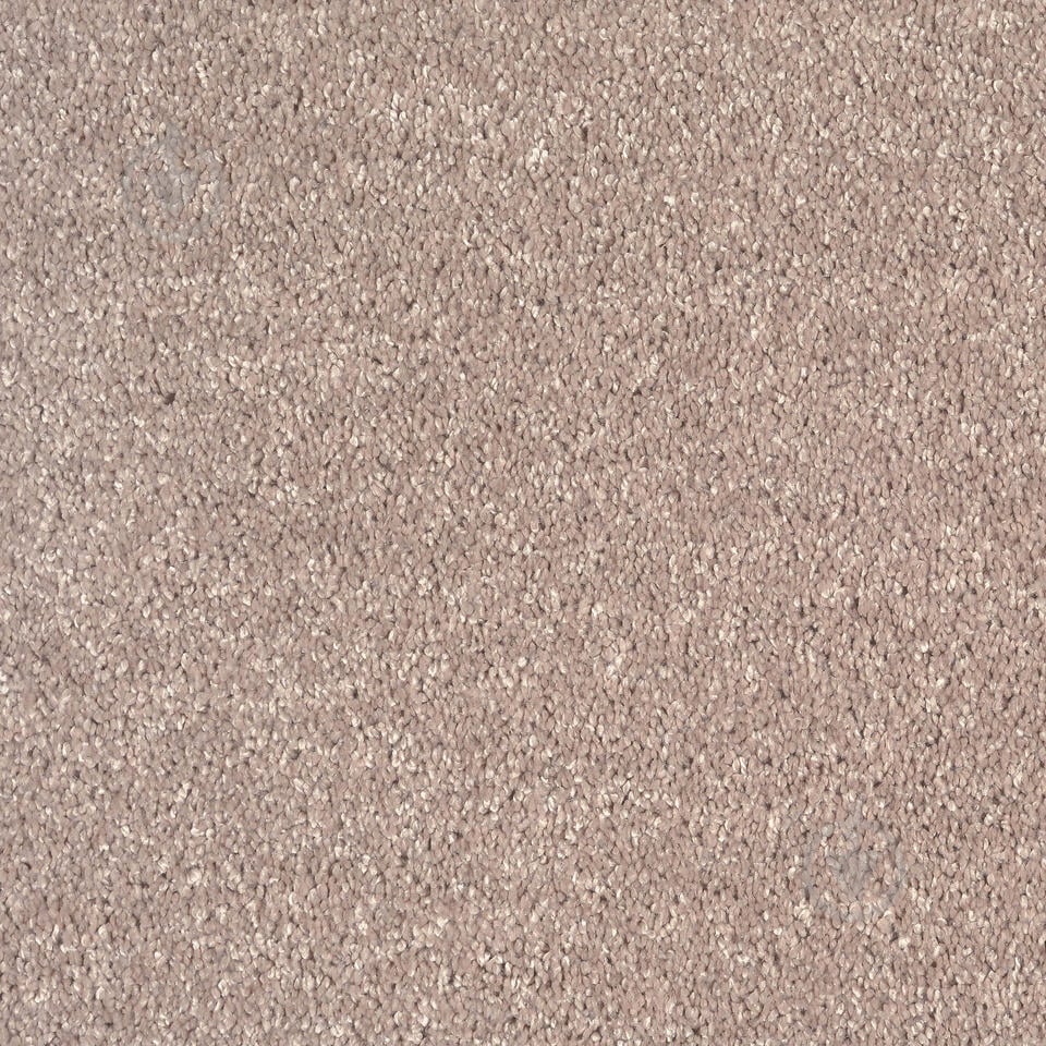 Ковролин Tarkett Diva Termo 80981 4 м - фото 1