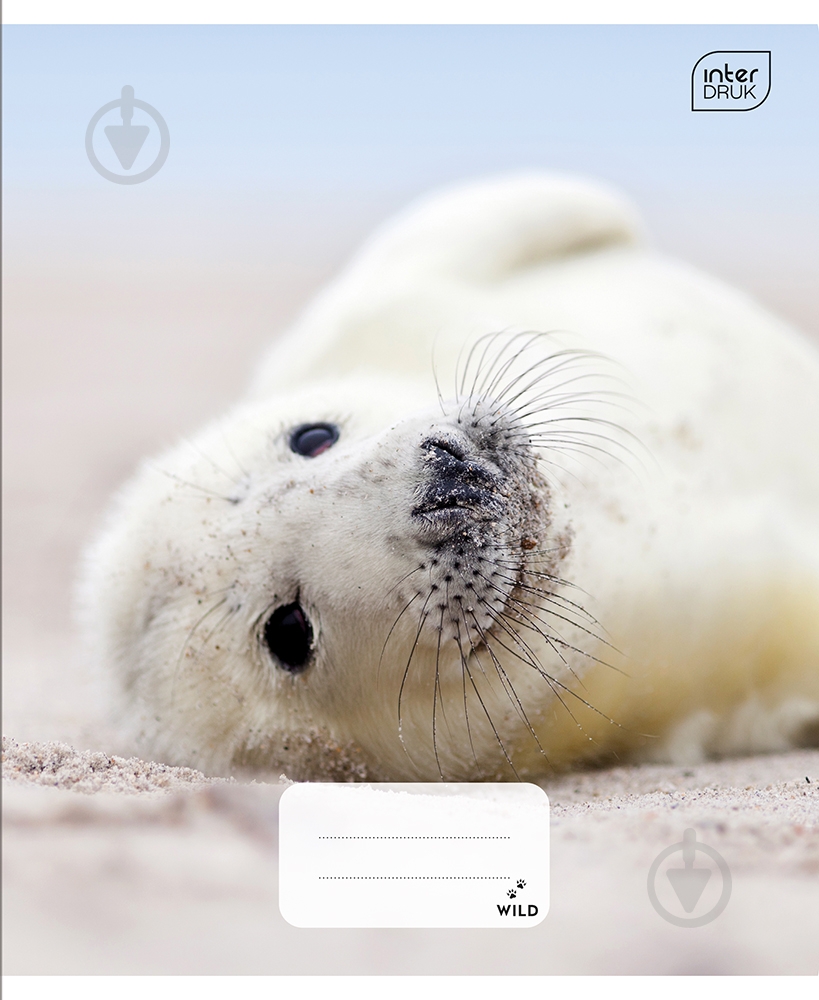 Тетрадь школьная А5 12 листов в клетку Wild Collection 4 ассортимент InterDRUK - фото 2 Тетрадь школьная А5 12 листов в клетку Wild Collection 4 ассортимент InterDRUK - фото 2