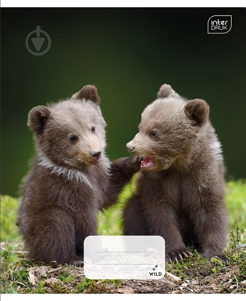 Тетрадь школьная А5 12 листов в клетку Wild Collection 4 ассортимент InterDRUK - фото 3 Тетрадь школьная А5 12 листов в клетку Wild Collection 4 ассортимент InterDRUK - фото 3