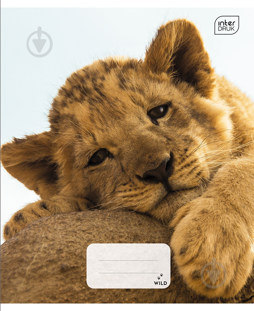 Тетрадь школьная А5 12 листов в клетку Wild Collection 4 ассортимент InterDRUK - фото 4 Тетрадь школьная А5 12 листов в клетку Wild Collection 4 ассортимент InterDRUK - фото 4