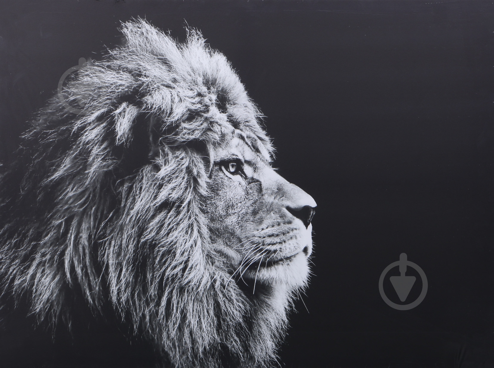 Картина Лев 100x75 см Styler - фото 1