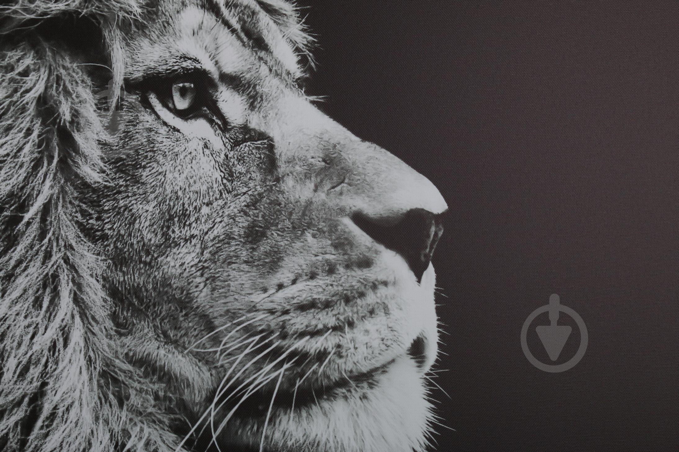 Картина Лев 100x75 см Styler - фото 4