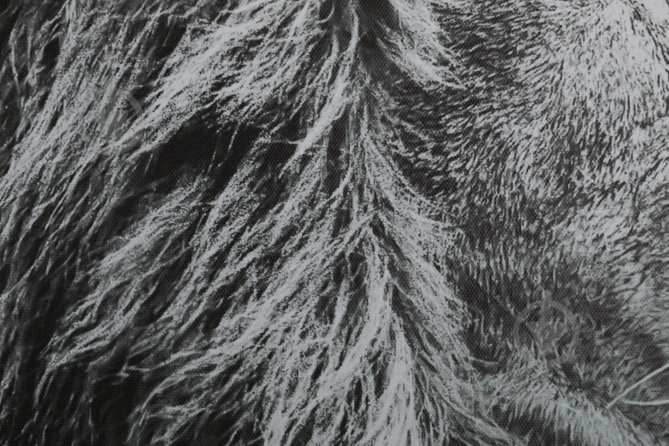 Картина Лев 100x75 см Styler - фото 5