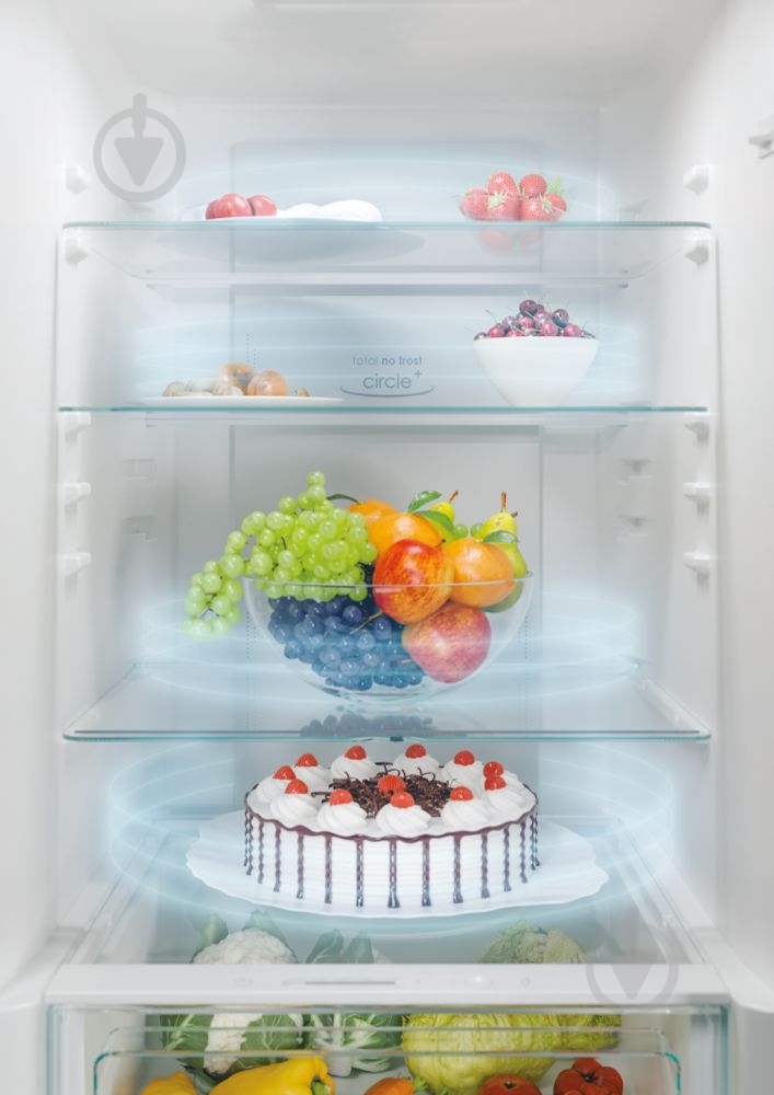 Холодильник Candy CCE7T618EXU - фото 11