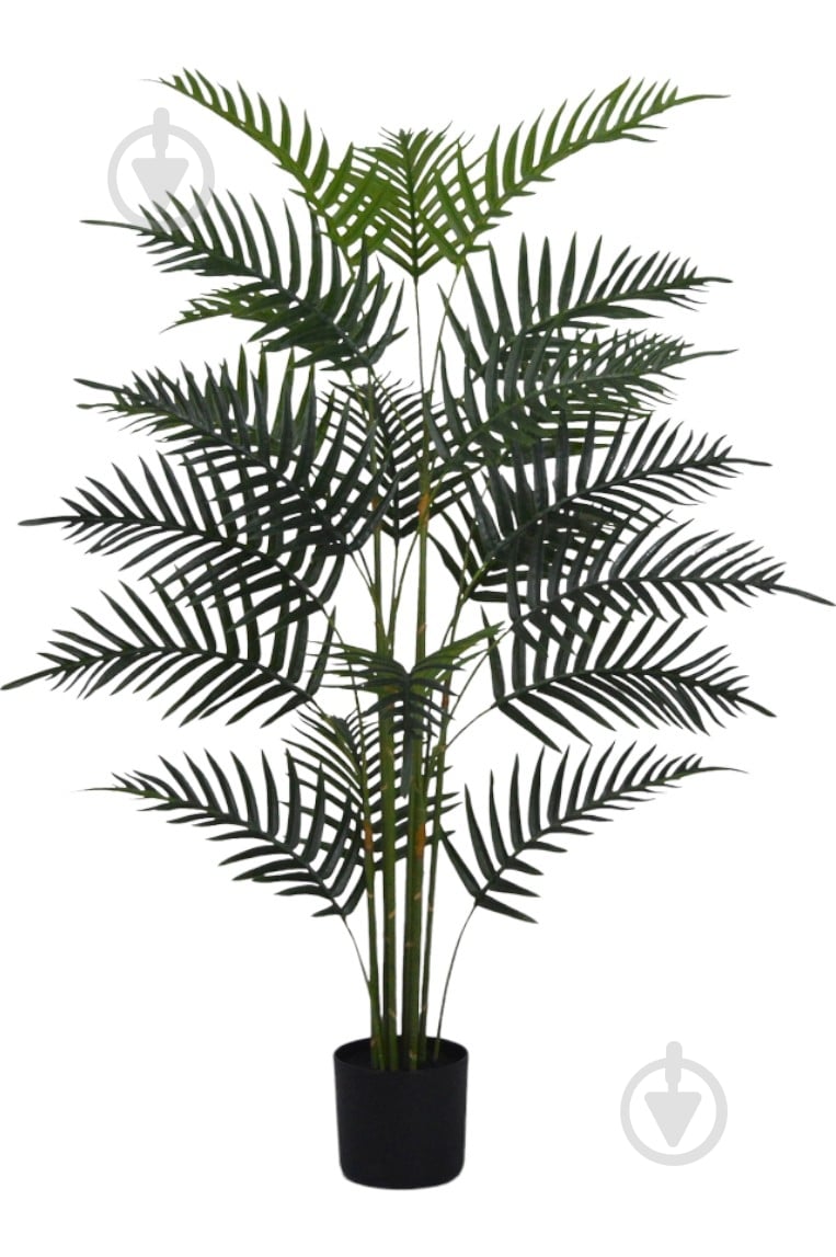 Дерево искусственное Папоротник в черном пласт. горшке REAL TOUCH 170 см Inari - фото 1 Дерево искусственное Папоротник в черном пласт. горшке REAL TOUCH 170 см Inari - фото 1