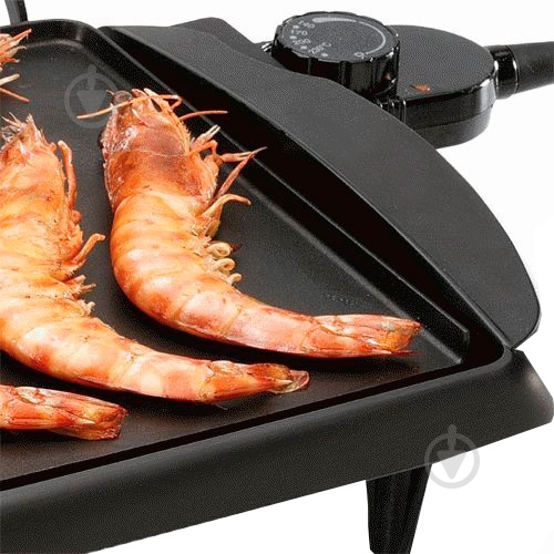 Гриль-барбекю Fagor BBC-846 - фото 5