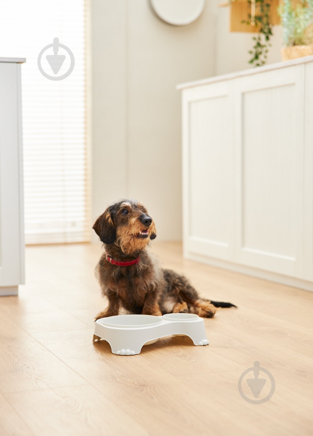 Миска двойная Rotho Sp. z o. o. Sally 1 л + 0,28 л песоная - фото 4 Миска двойная Rotho Sp. z o. o. Sally 1 л + 0,28 л песоная - фото 4