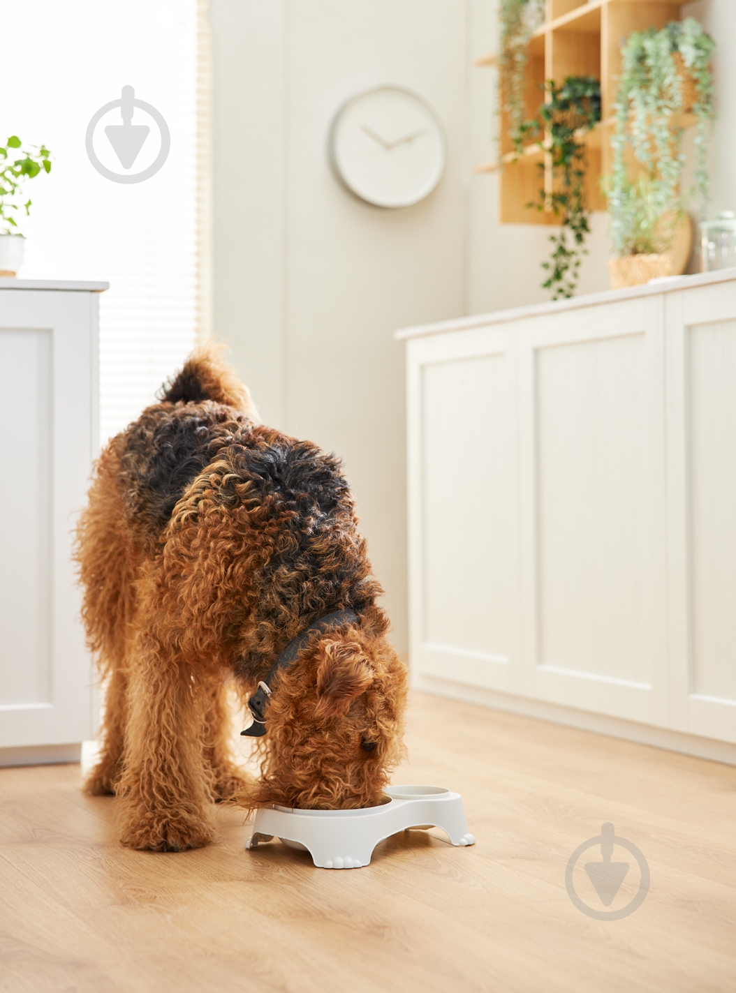 Миска подвійна Rotho Sp. z o. o. Sally 1 л + 0,28 л антрацит - фото 3