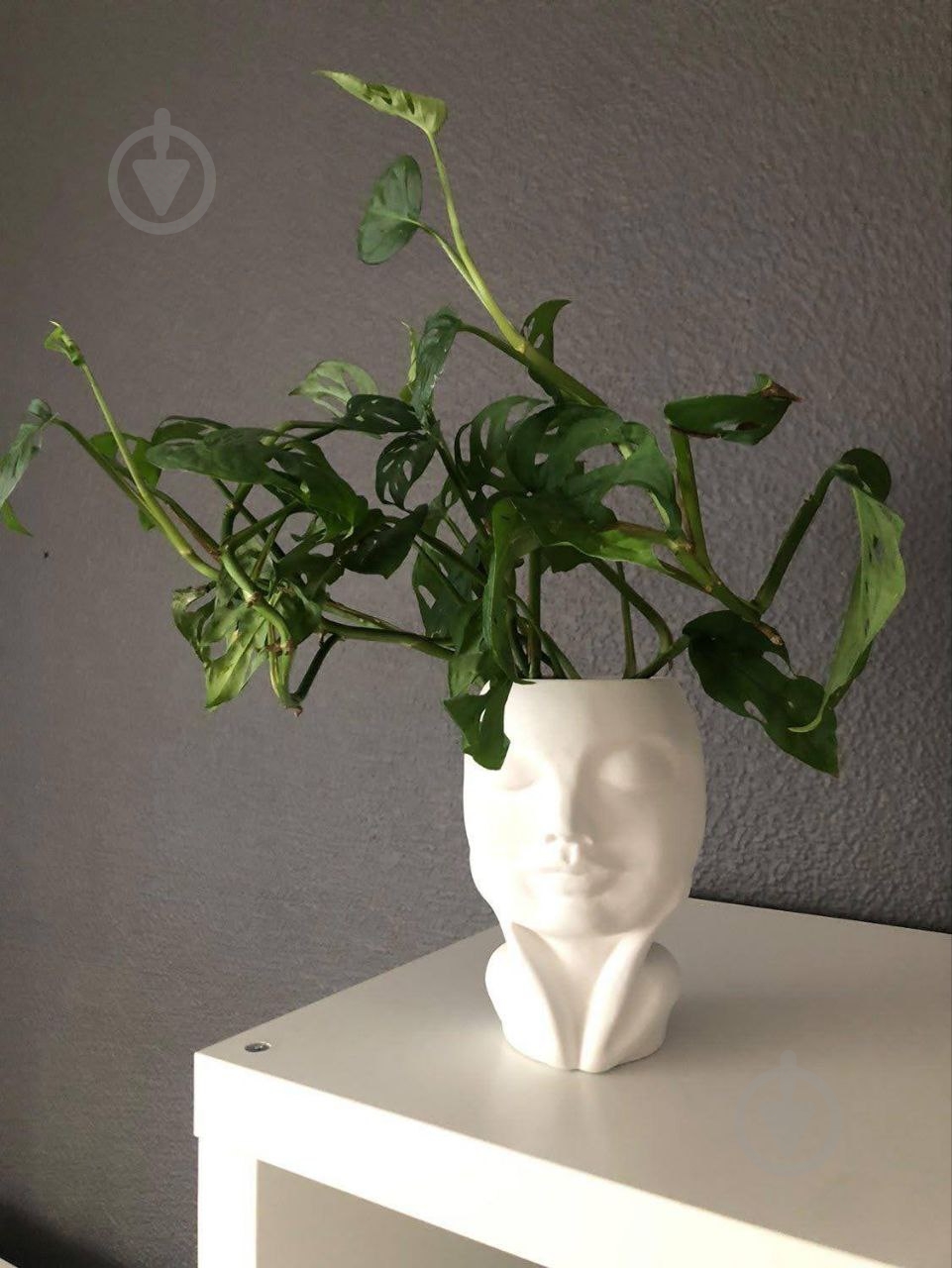 Кашпо керамическое Kerama tato Мечта 16 см белое - фото 11 Кашпо керамическое Kerama tato Мечта 16 см белое - фото 11